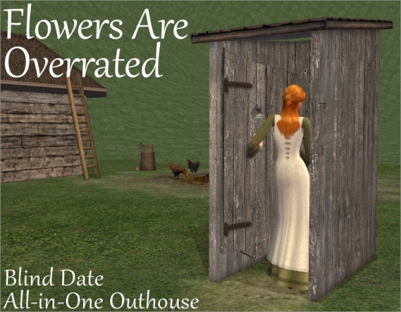 Blind Date All-in-One Outhouse